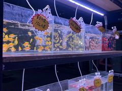-中环花鸟鱼虫市场