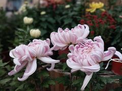 -共青国家森林公园-售票处