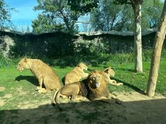 -北京野生动物园
