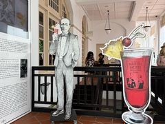 -Long Bar(莱佛士酒店)