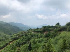-军营村