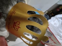 -法田鹿蛋糕定制·甜品茶歇