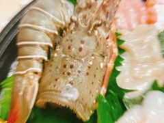 -冰之海挪威三文鱼(海珠店)