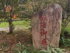 -苏州上方山国家森林公园