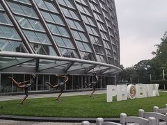 -凤凰中心
