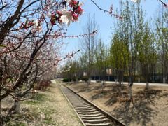 -永定河休闲森林公园