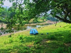 -楠溪江风景名胜区