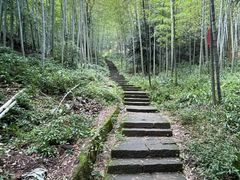 -缙云山景区