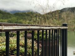 -宁海安岚·南溪阁全日餐厅