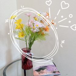 -SILKTONE诗丽堂美容