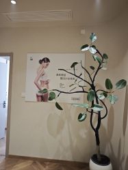 -美丽妈妈产后恢复中心(南桥旗舰店)