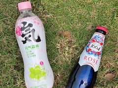 -海珠湖公园