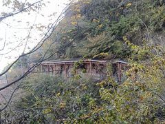 -佛慧山