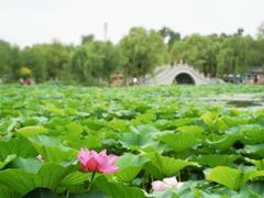 -长春市南湖公园