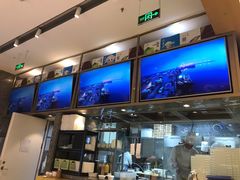 -船歌·鱼水饺青岛菜(国贸商城店)