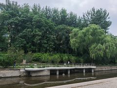 -元大都城垣遗址公园