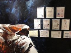 -SAH健身私教工作室(紫东店)