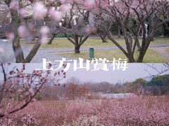 -苏州上方山国家森林公园
