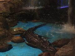 -多彩贵州城极地海洋世界