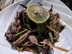 -缘生态云南菜·野生菌庭院餐厅(华侨城店)