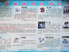 -生宇山珍野生菌汤锅•始于1999(双流古塔店)