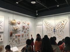 -四川大学博物馆