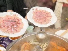 贵州酸汤鱼锅底-芦苇荡·酸汤鱼(回龙观店)