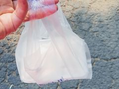 -东北农业大学饺子园