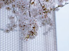 -龙美术馆(西岸馆)