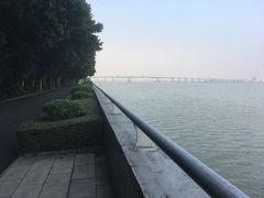 景点-大湾区中央湿地公园