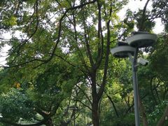 -成都市活水公园