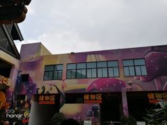 -苏州乐园森林水世界