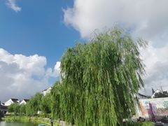 -金山嘴渔村