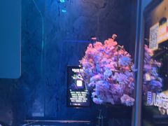 -方糖KTV-PLUS(世茂广场店)