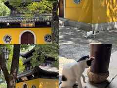 -西园戒幢律寺