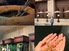 -帕帕拉兹宠物(亚洲旗舰店)