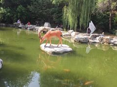 -北京周口店北京人遗址博物馆