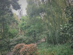 -龙头寺公园