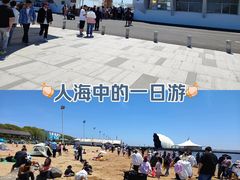 -碧海金沙
