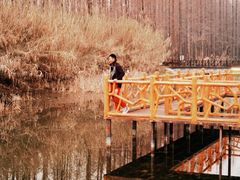 -黄海国家森林公园