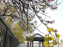 -相门城墙文化休闲景区