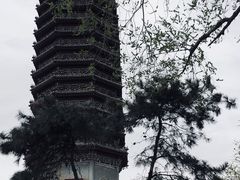 -西海子公园