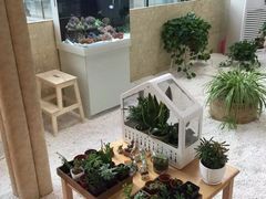 -爱乐恩幼儿园(亦庄园店)