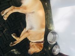 -漕溪人家