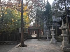 -兴教寺