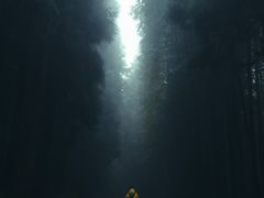 -山王坪喀斯特国家生态公园