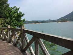 -广州市流溪河国家森林公园