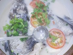 -全乐鱼馆·淳牌有机鱼直营店