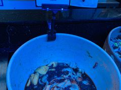 -盛江山自助料理(奥莱锦辉购物广场店)