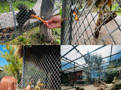 -水上乐园·欢乐世界